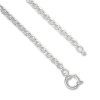 Silver Rolo Light Chain at Stonz Diamonds