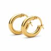 Gold Hoops 2