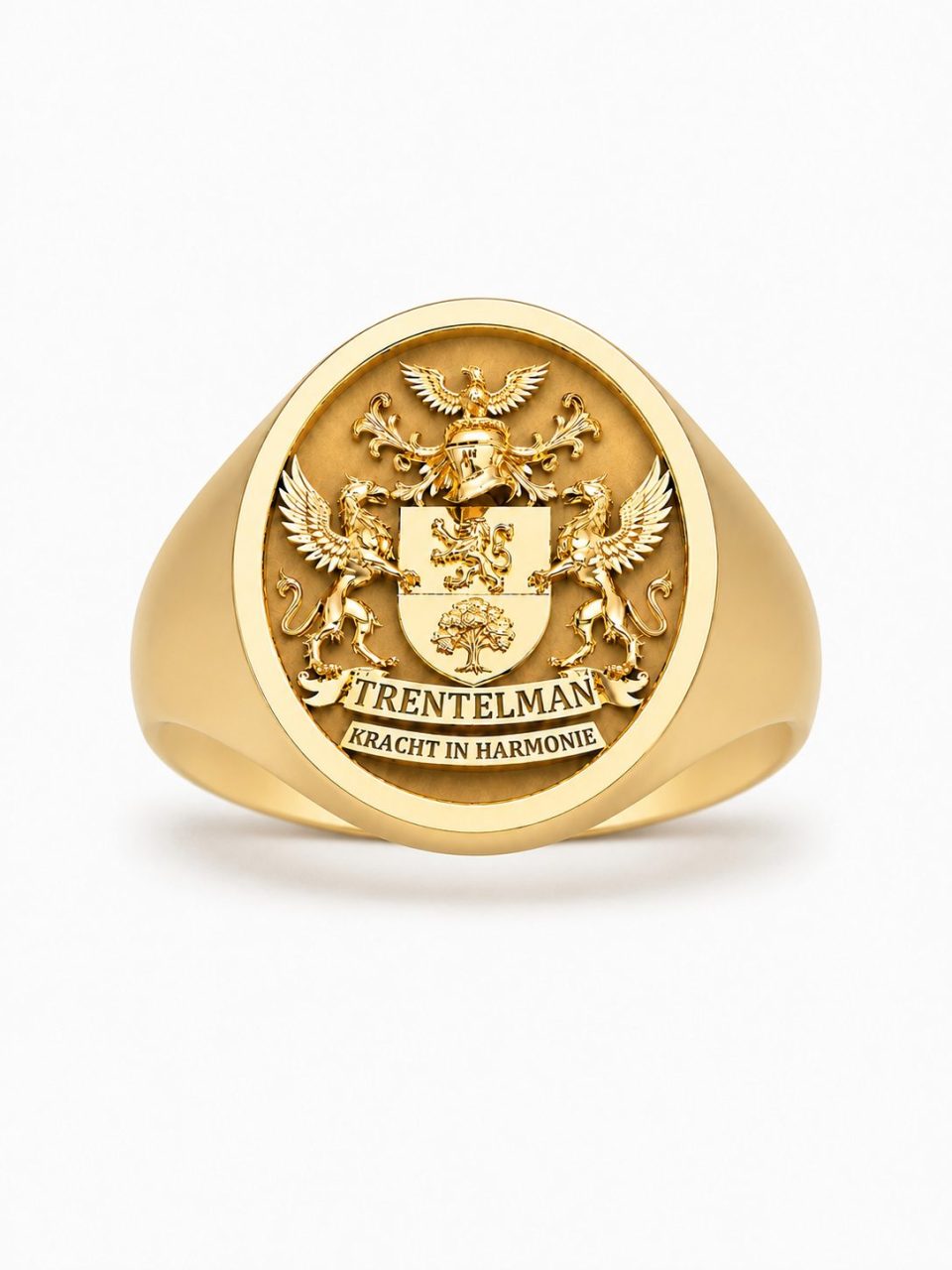 Oval-Top Family Crest Signet Ring in 9K Gold